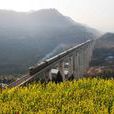 樂巴鐵路 樂巴鐵路