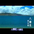 八瓣花 八瓣花