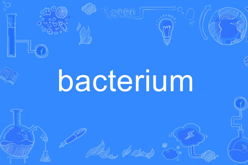 bacterium bacterium