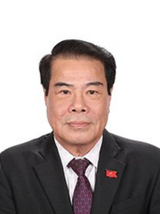 楊青平(越共第十三屆中央委員,越南國會民願與監察委員會主任) 楊青平(越共第十三屆中央委員,越南國會民願與監察委員會主任)