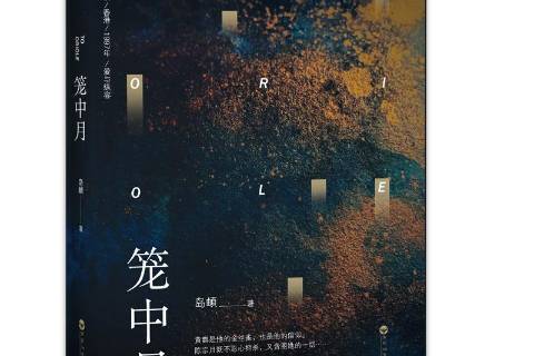 籠中月(2018年百花洲文藝出版社出版的圖書)