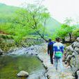 上草市村 上草市村