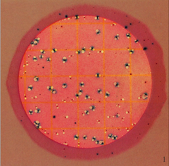 Petrifilm大腸桿菌/大腸菌群測試片