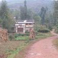 小山村(浙江寧波市北侖區新碶街道小山村) 小山村(浙江寧波市北侖區新碶街道小山村)