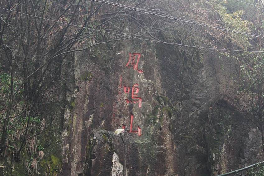鳳鳴山泉 鳳鳴山泉