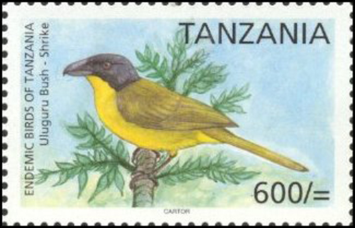 黑頂叢鵙（坦尚尼亞郵票）