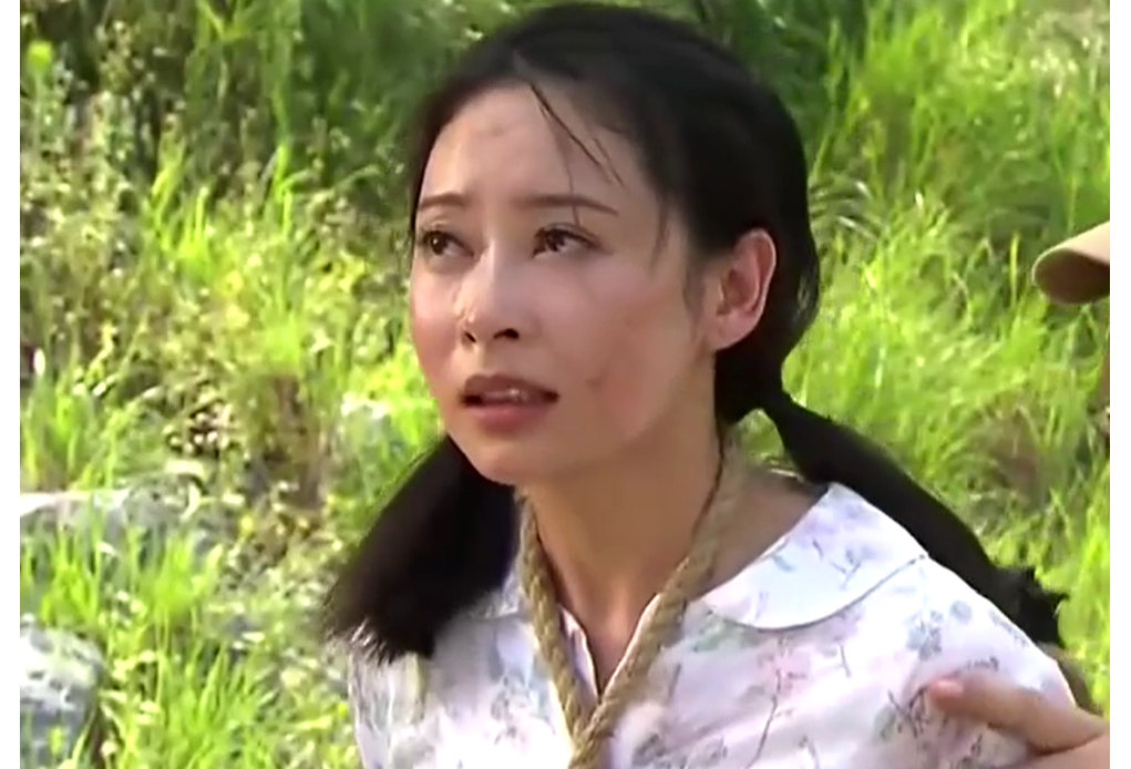 趙淑君(抗戰劇《巾幗梟雄之諜血長天》中的角色) 趙淑君(抗戰劇《巾幗梟雄之諜血長天》中的角色)