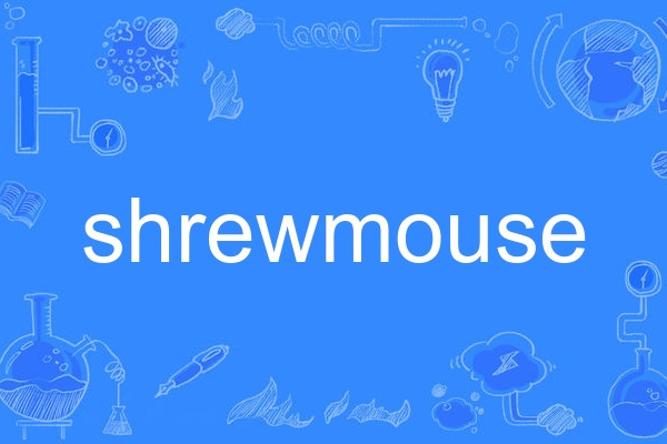 shrewmouse shrewmouse