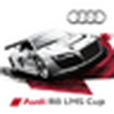 audir8 audir8