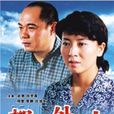 都市外鄉人(中國2002年顧晶導演電視劇) 都市外鄉人(中國2002年顧晶導演電視劇)