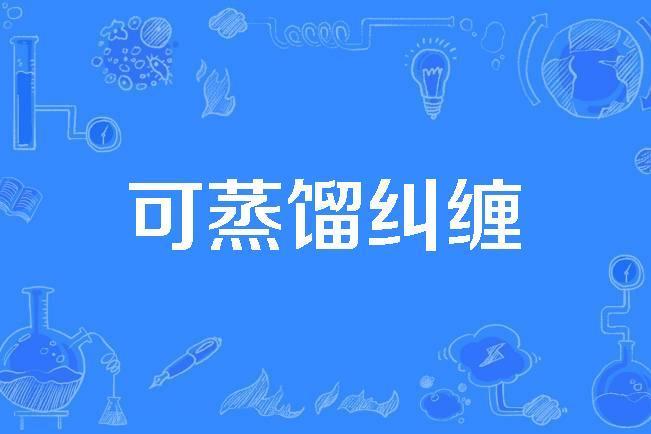可蒸餾糾纏 可蒸餾糾纏