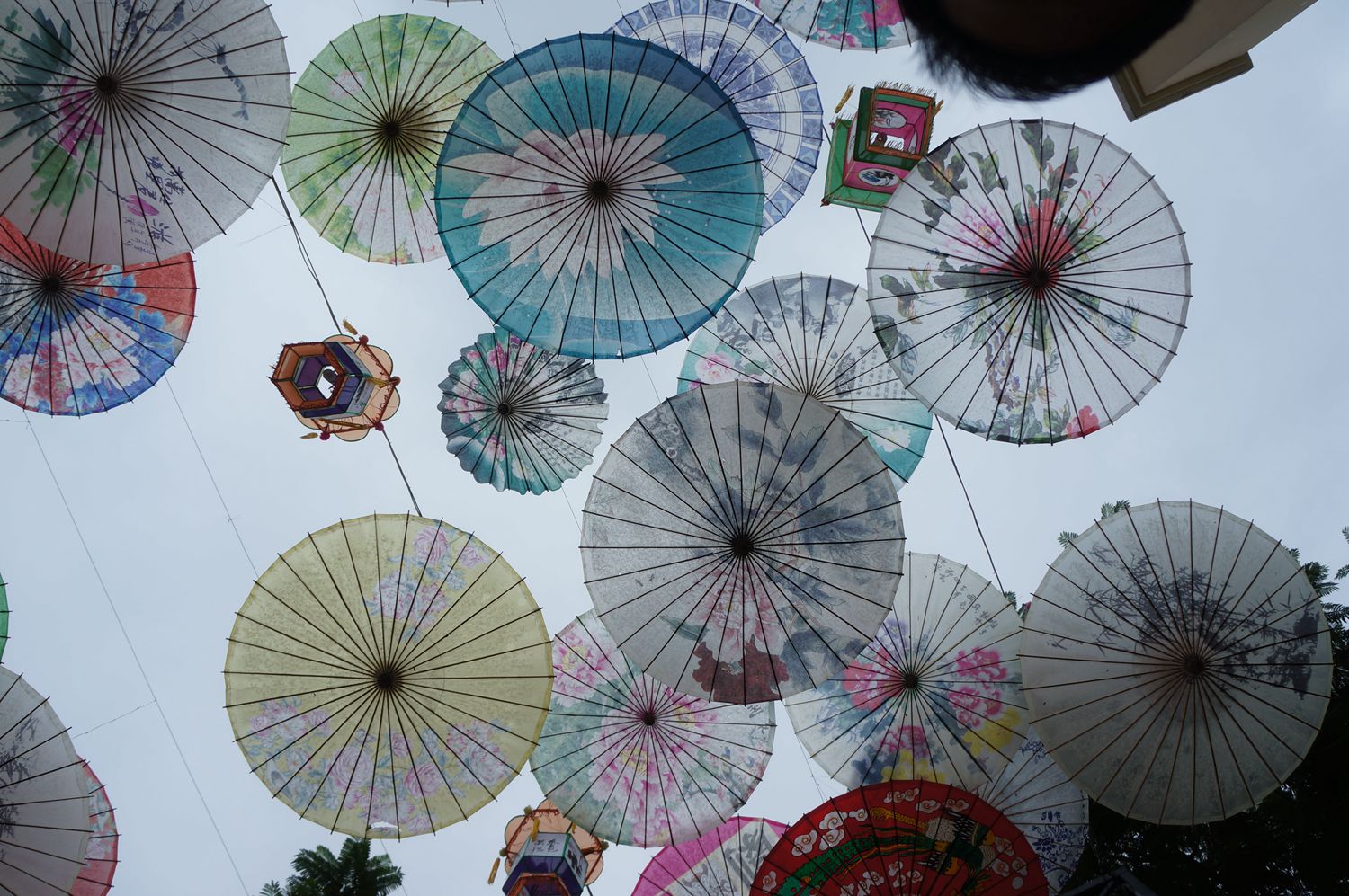 瀘州油紙傘