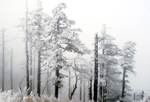 佛坪縣雪景