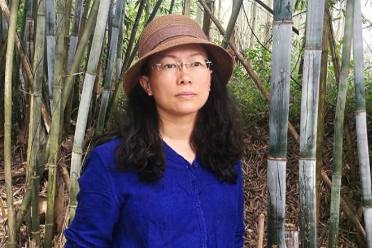 龐海燕(中國廣西籍藝術家) 龐海燕(中國廣西籍藝術家)