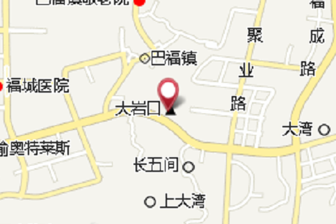 大岩口村 大岩口村