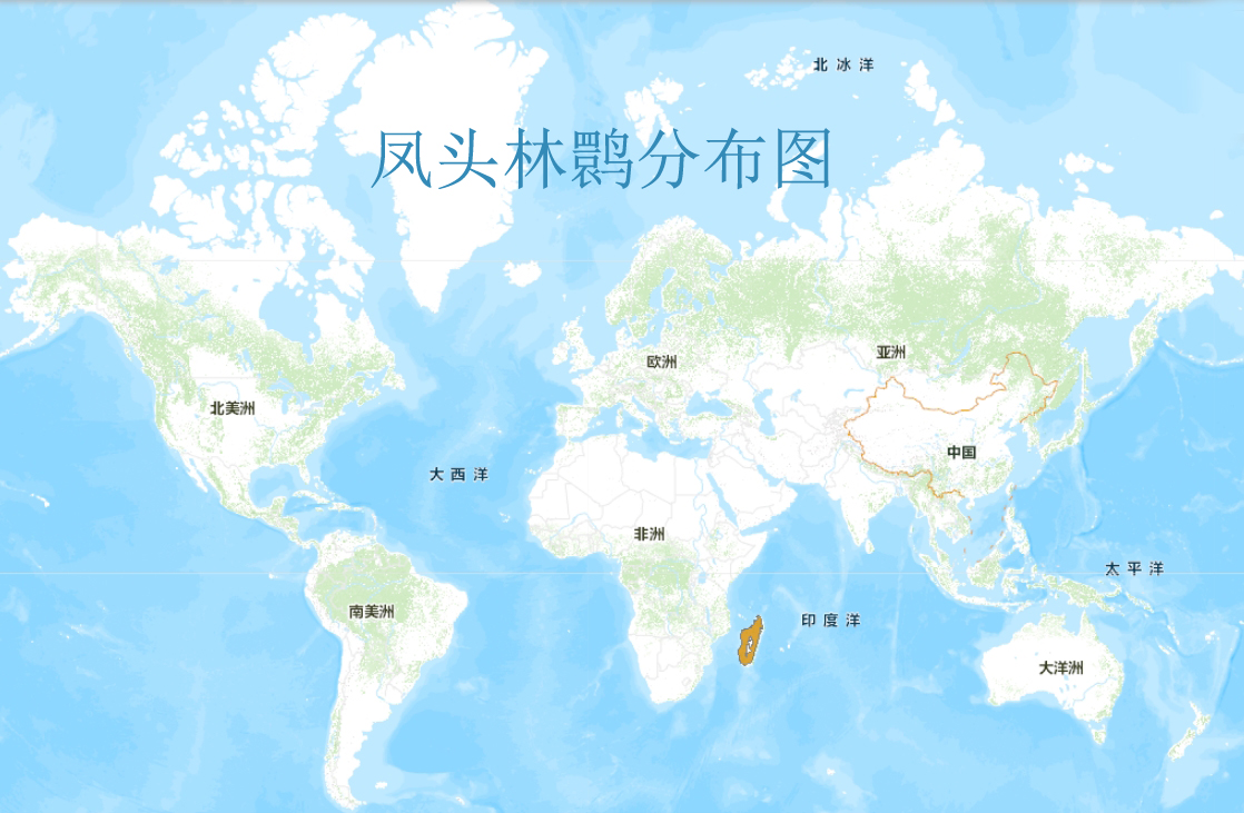 鳳頭林䴉分布圖