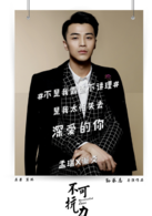 不可抗力之男僕的秘密(2016年孟瑞、王博文主演電影)