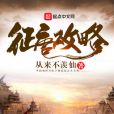 征唐攻略 征唐攻略
