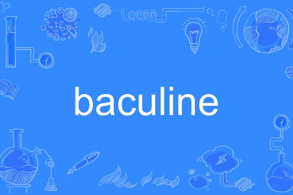 baculine