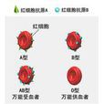 MN血型鑑定 MN血型鑑定