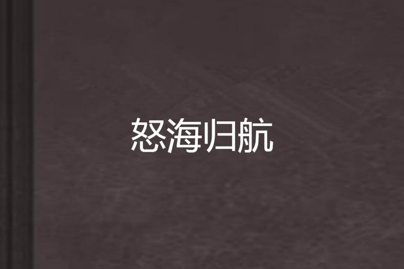 怒海歸航 怒海歸航