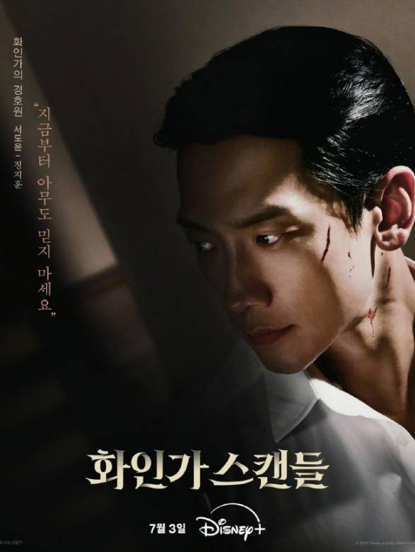 紅天鵝(韓國2024年金荷娜,鄭智薰主演的電視劇) 紅天鵝(韓國2024年金荷娜,鄭智薰主演的電視劇)