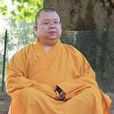 圓慈法師 圓慈法師