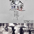 愛入迷途 愛入迷途
