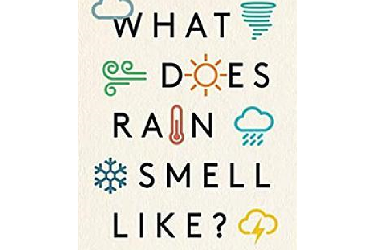 What Does Rain Smell Like? What Does Rain Smell Like?