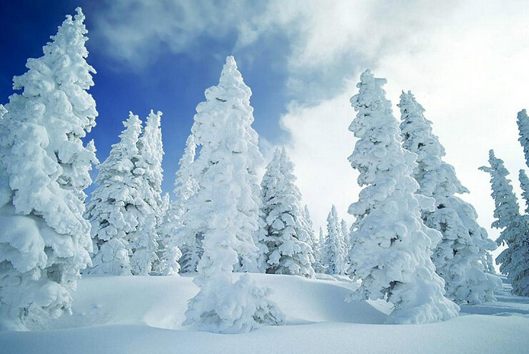 雪鄉(中國黑龍江省牡丹江雪鄉景區)