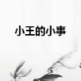 小王的小事 小王的小事