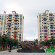 八一總場 八一總場