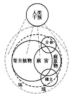 植物病害系統