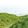 紫泥島 紫泥島