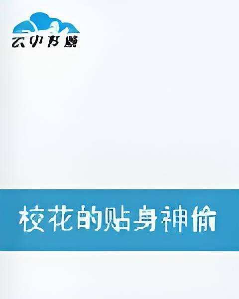 不良神偷 不良神偷
