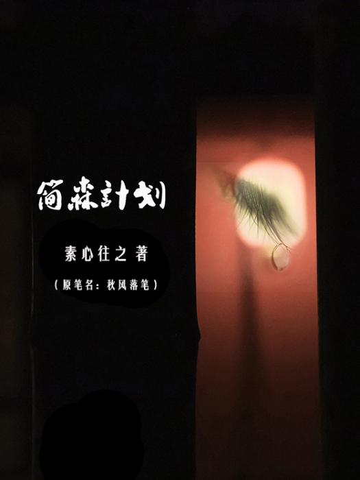 簡森計畫 簡森計畫