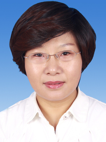 楊琳(天津市河西區教育局局長) 楊琳(天津市河西區教育局局長)