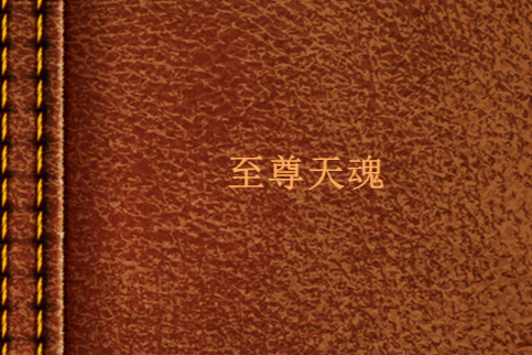 至尊天魂 至尊天魂