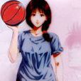 赤木晴子 赤木晴子