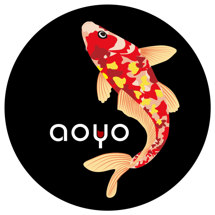 AOYO AOYO