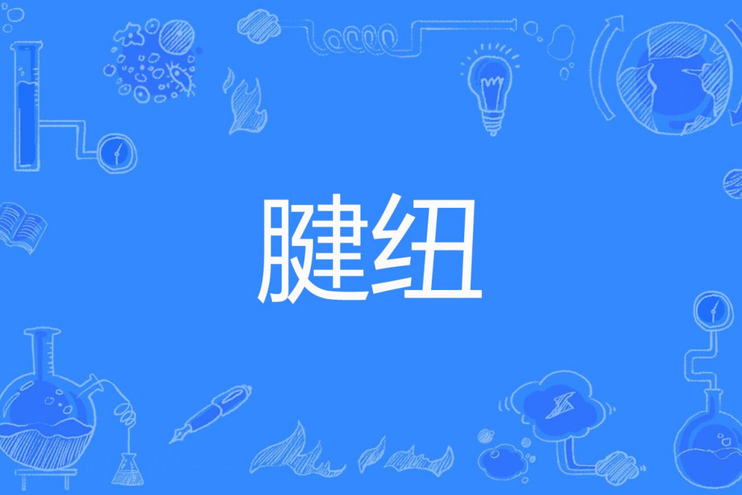 腱紐 腱紐
