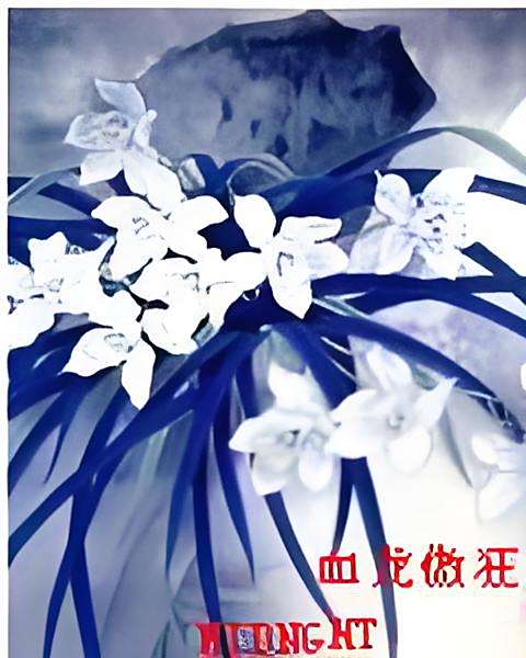 血龍傲狂 血龍傲狂