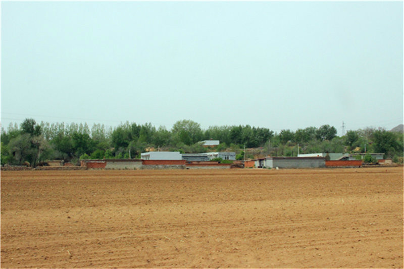 尹丈子村