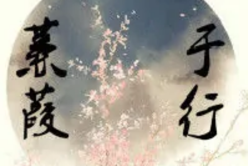 蒹葭於行 蒹葭於行
