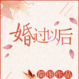 婚過以後(簡圖創作的網路小說) 婚過以後(簡圖創作的網路小說)