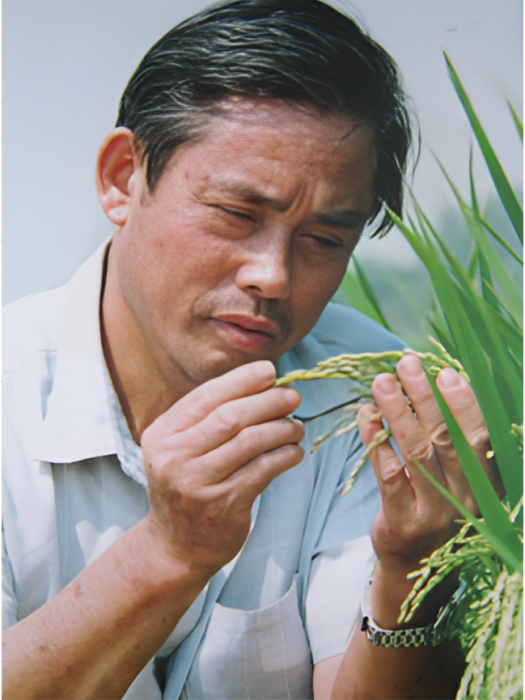 周坤爐 周坤爐