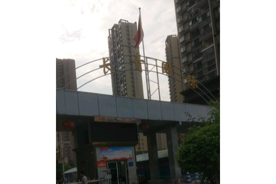 長青國際 長青國際