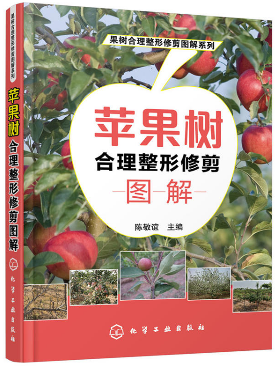 蘋果樹合理整形修剪圖解(化學工業出版社2019年出版圖書)