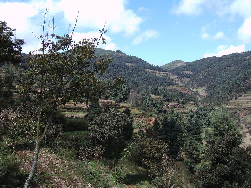 那洪箐村 那洪箐村