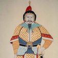 中國魚鱗甲 中國魚鱗甲